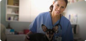Santé - métier de vétérinaire